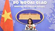 Việt Nam hoan nghênh tìm kiếm giải pháp hòa bình cho xung đột Nga - Ukraine