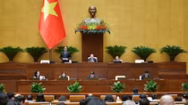 Có những nước chưa bao giờ dẫn độ tội phạm sang nước khác nhưng đã hợp tác với Việt Nam
