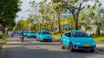 GSM triển khai chương trình “Mùa hè Xanh vì Tương lai xanh”