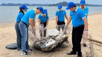 Phát triển du lịch bền vững thông qua ESG