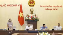 Tạo điều kiện thuận lợi để tất cả người lao động thụ hưởng các chính sách, chế độ