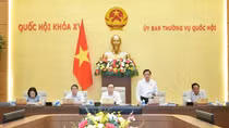 Giam riêng người chưa thành niên là cần thiết
