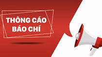 Ban Bí thư xem xét, thi hành kỷ luật cán bộ