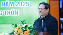 Nỗ lực phát triển kinh tế xanh, kinh tế tuần hoàn, kinh tế tri thức trong nông nghiệp