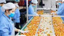 Xuất khẩu nông sản khởi sắc đầu năm