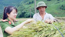“Bông hoa” khoe sắc nơi núi rừng Tây Bắc