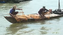 Miên man giữa dòng sông Hậu