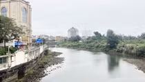Cảm hứng “Từ Trà Cổ rừng dương đến Cà Mau rừng đước”