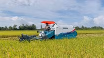 Hướng tới nền nông nghiệp phát thải thấp