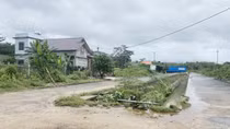 Kỳ 2: Phân lô cả sân bóng, đất thổ cư đến gần 5.000m2/lô
