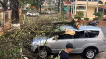 Sơn La: Mưa lớn kèm giông lốc gây nhiều thiệt hại