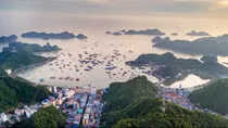 Mô hình đảo sinh thái không khí thải đầu tiên của Việt Nam
