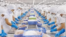 CPTPP giúp hàng của Việt Nam cạnh tranh với doanh nghiệp nước ngoài