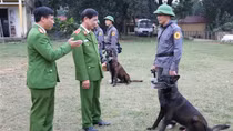 “Binh chủng đặc biệt” - 65 năm xây dựng, chiến đấu và trưởng thành