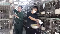 Tiếp sức cho hộ nghèo vượt khó