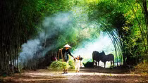 Hà Nội nắng đẹp vào ban ngày, đêm không khí lạnh tràn về, trời mưa nhỏ