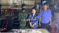 Nữ 2k "ôm" 40 bánh heroin và 15kg ma túy từ Lào về Việt Nam