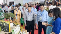 Nỗ lực cải thiện Chỉ số năng lực cạnh tranh cấp tỉnh ở khu vực đồng bằng sông Cửu Long
