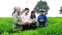 Ngân hàng Nhà nước nói gì về đề xuất giảm lãi suất, tăng mức cho vay các đối tượng chính sách?