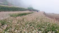 Lấy văn hóa là trọng tâm để phát triển du lịch, xóa đói giảm nghèo