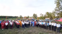 Petrovietnam phát động trồng cây phục hồi rừng trên đất ngập nước