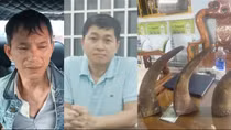 Bắt nhóm lừa đảo bán thiên thạch và sừng tê giác giả