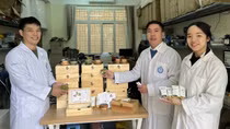 Tính hiệu quả, tính an toàn được đặt lên hàng đầu