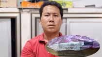 Đâm cô ruột tử vong vì mâu thuẫn tranh chấp đất đai