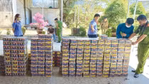 Ngăn ngừa những thương vong vì pháo dịp cuối năm