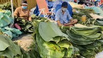 Nửa thế kỉ chợ lá gói Tết về nhà