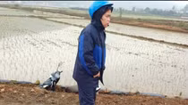 Công an phường làm rõ tin báo giả cướp tài sản