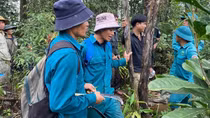 Hơn 100 người tìm kiếm người phụ nữ câm điếc bị lạc trong rừng
