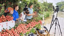 Livestream tạo cuộc đua gay cấn trong thương mại điện tử