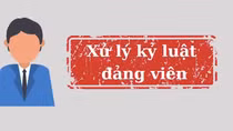 Bộ Chính trị, Ban Bí thư xem xét, thi hành kỷ luật tổ chức đảng, đảng viên