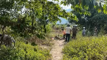 Phát hiện thi thể người đàn ông trong vườn nhà