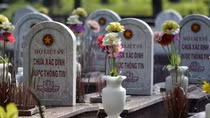 Vời vợi những nhớ thương