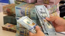Không cần lo lắng về tỷ giá