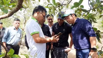Chàng thanh niên tiên phong làm nông nghiệp số