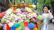 Nhà văn Như Bình: Thương những xa xôi