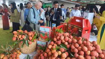 Nâng cao giá trị vải thiều Bắc Giang