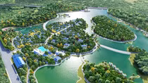 Vọng cảnh đồi Lim xanh