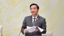 Quy định nội dung đấu giá biển số xe trong dự thảo Luật TTATGT đường bộ là phù hợp