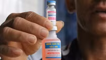 Yêu cầu làm rõ quy trình đấu thầu loại vaccine khiến bò chết hàng loạt