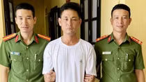 Thấy trâu thả rông bên đường, đưa 5 con lên xe tải chở về cất giấu
