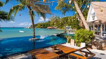 Koh Tao - “lời nguyền đảo chết”