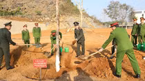 Công an tỉnh Sơn La ra quân Tết trồng cây Xuân Giáp Thìn 2024