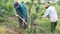 “Thần dược” xáo tam phân ngày ấy - bây giờ