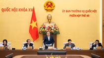 Cử tri và nhân dân mong muốn sắp xếp tổ chức bộ máy cần quan tâm đến việc đảm bảo quyền lợi người lao động