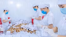Doanh nghiệp sôi nổi ra quân sản xuất đầu năm