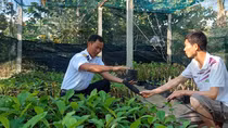 Thêm “màu” cho Trường Sa